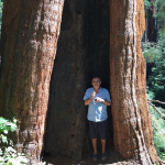 ein Bild aus dem Album