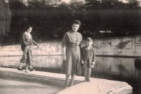 das zu meldende Bild