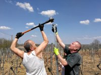 ein Bild aus dem Album