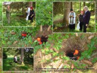 das zu meldende Bild